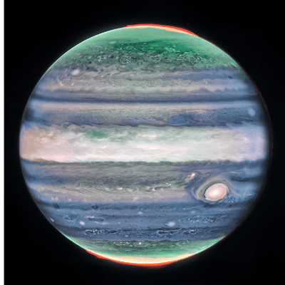 Fred Pop Profile Pic