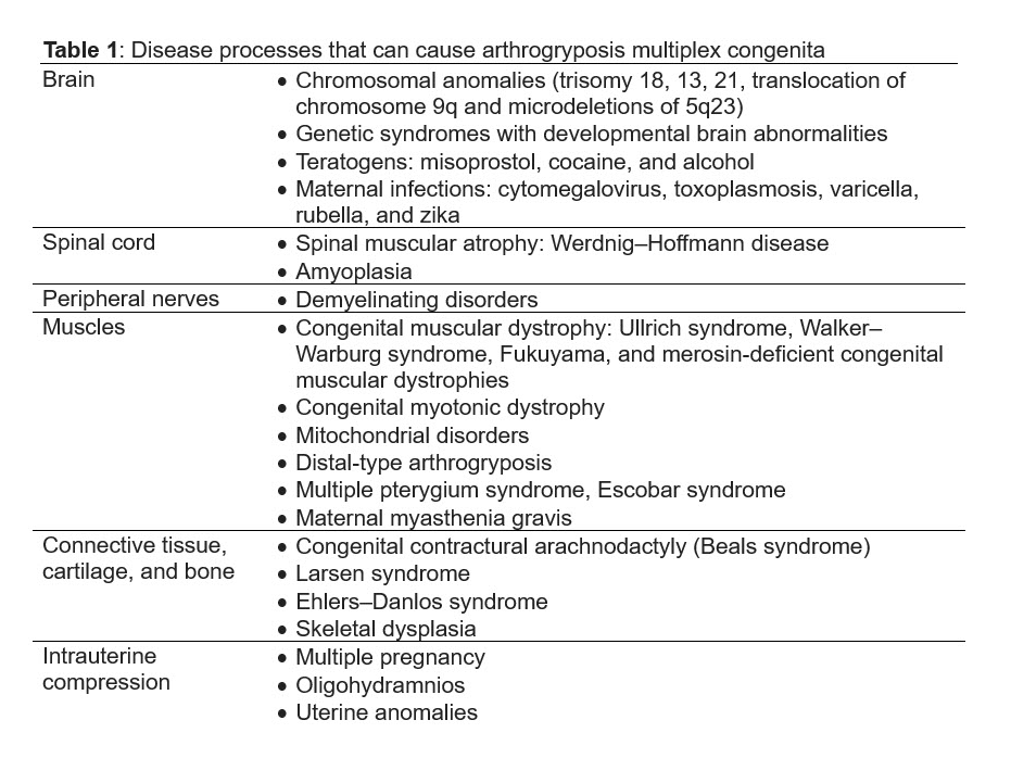 Disease processes that can lead to arthrogryposis multiplex congenita